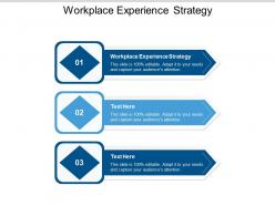 Workplace experience strategy ppt powerpoint presentation slides microsoft cpb