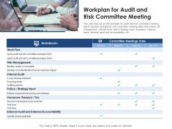 Workplan for audit and risk committee meeting