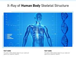 X Ray Of Human Body Skeletal Structure