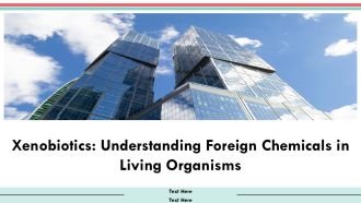 Xenobiotics Understanding Foreign Chemicals In Living Organisms PPT Template AT