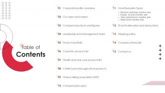 Yashbiz Company Profile Table Of Contents Ppt Professional Elements