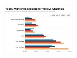 Yearly marketing expense for various channels