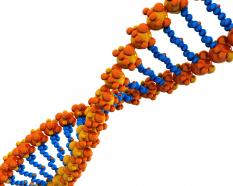 Yellow and blue dna design stock photo