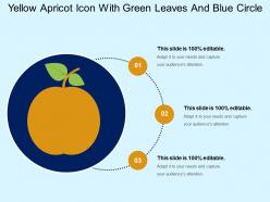 Yellow apricot icon with green leaves and blue circle