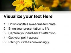 Yellow flower nature powerpoint templates and powerpoint backgrounds 0211