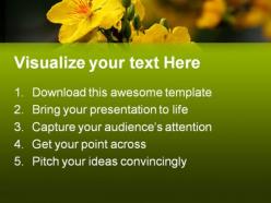 Yellow flower nature powerpoint templates and powerpoint backgrounds 0211