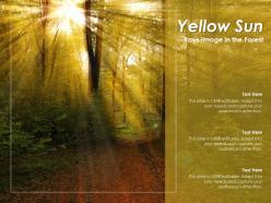 Yellow sun rays image in the forest