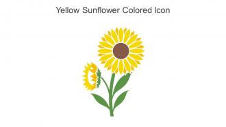 Yellow Sunflower Colored Icon In Powerpoint Pptx Png And Editable Eps Format