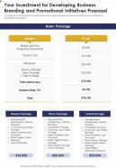 Your Investment For Developing Business Branding One Pager Sample Example Document