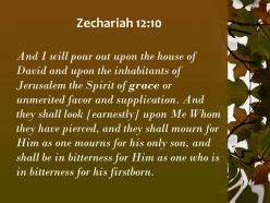 Zechariah 12 10 one grieves for a firstborn son powerpoint church sermon