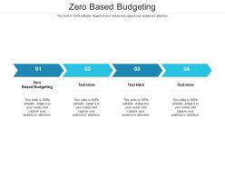 Zero based budgeting ppt powerpoint presentation show professional cpb
