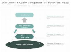 Zero Defects In Quality Management Ppt Powerpoint Images
