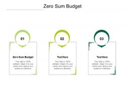 Zero sum budget ppt powerpoint presentation infographics example file cpb