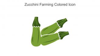 Zucchini Farming Colored Icon In Powerpoint Pptx Png And Editable Eps Format