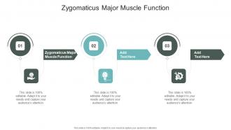 Zygomaticus Major Muscle Function In Powerpoint And Google Slides Cpb