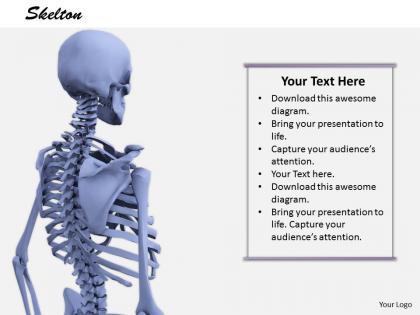 0514 model of human body skeleton image graphics for powerpoint