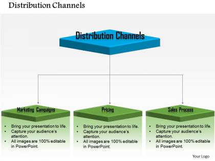0514 overview of distribution channels powerpoint presentation