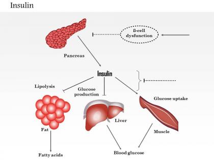 0614 insulin medical images for powerpoint