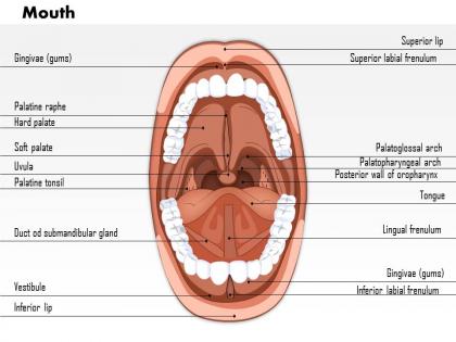 0614 mouth medical images for powerpoint