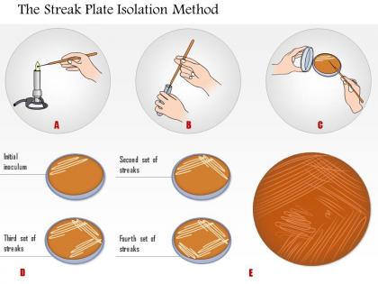 0614 the streak plate isolation method medical images for powerpoint