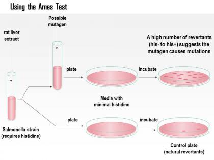 0614 using the ames test medical images for powerpoint