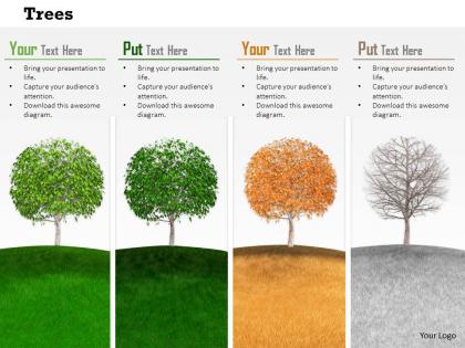0814 trees to show four different seasons image graphics for powerpoint