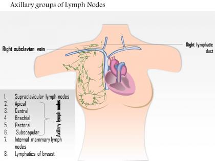 0914 axillary groups of lymph nodes medical images for powerpoint
