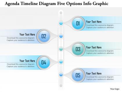 0914 business plan agenda timeline diagram five options info graphic powerpoint presentation template