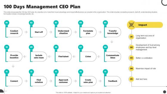 100 Days Management CEO Plan