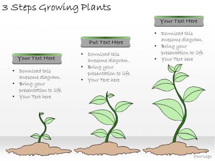 1113 business ppt diagram 3 steps growing plants powerpoint template