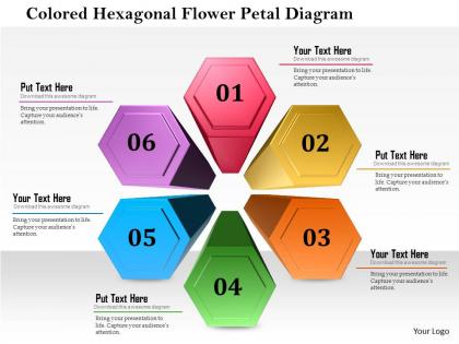 1114 colored hexagon flower petal diagram powerpoint template