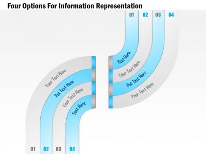 1114 four options for information representation powerpoint template