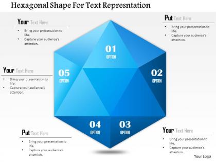 1114 hexagonal shape for text representation powerpoint template