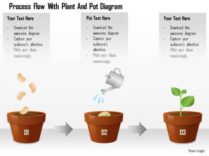 1114 process flow with plant and pot diagram powerpoint template