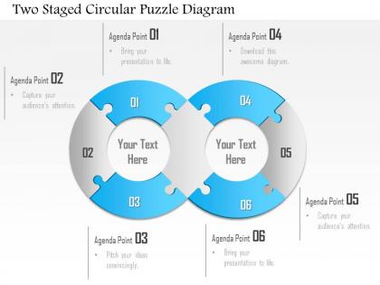 1114 two staged circular puzzle diagram powerpoint template