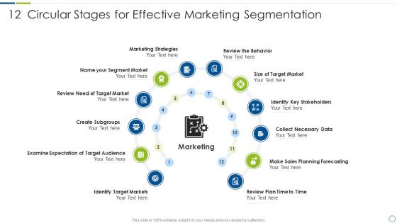 12 Circular Stages For Effective Marketing Segmentation