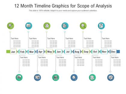 12 month timeline graphics for scope of analysis infographic template