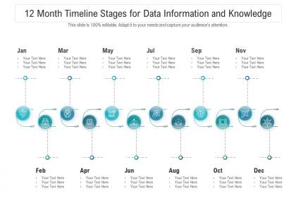 12 month timeline stages for data information and knowledge infographic template