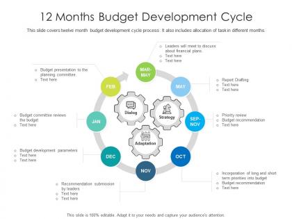 12 months budget development cycle