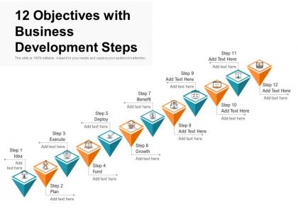 12 objectives with business development steps