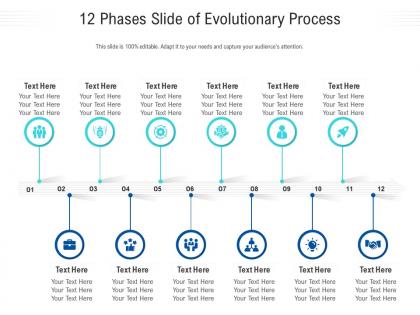 12 phases slide of evolutionary process infographic template