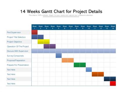 14 weeks gantt chart for project details