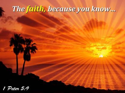 1 peter 5 9 the faith because you know powerpoint church sermon
