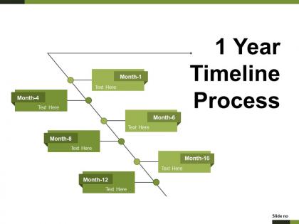 1 year timeline process example of ppt