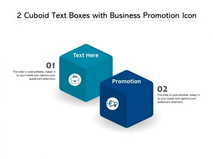 2 cuboid text boxes with business promotion icon