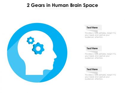 2 gears in human brain space