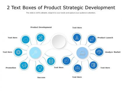 2 text boxes of product strategic development