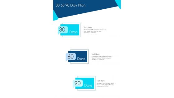 30 60 90 Day Plan Copywriting Proposal Template One Pager Sample Example Document