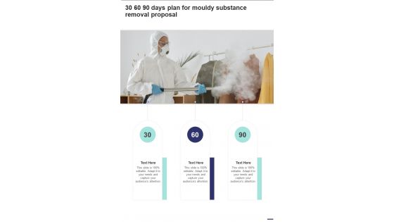 30 60 90 Days Plan For Mouldy Substance Removal Proposal One Pager Sample Example Document