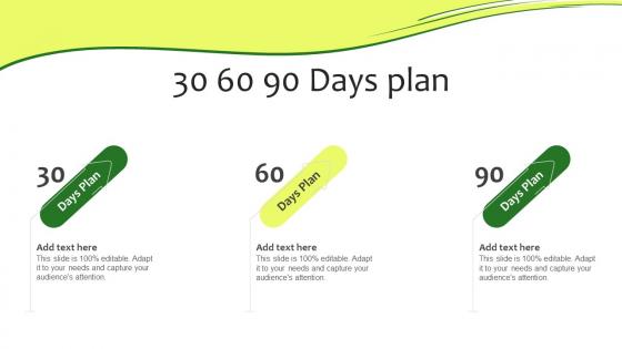 30 60 90 Days Plan Online Promotion Plan For Food Business Ppt Slides Backgrounds
